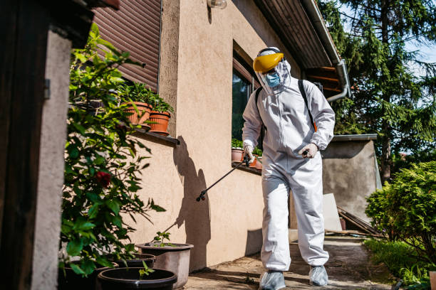 Reliable Paoli, IN Pest Control Solutions