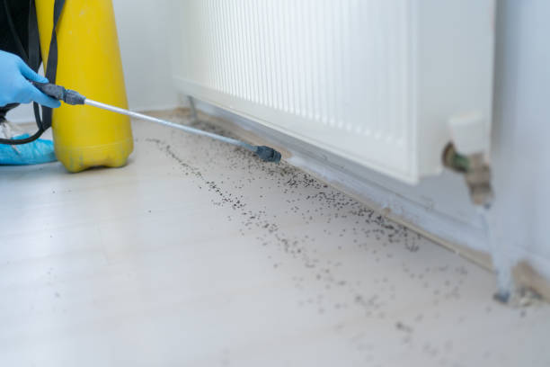 Best Commercial Pest Control Services  in Paoli, IN